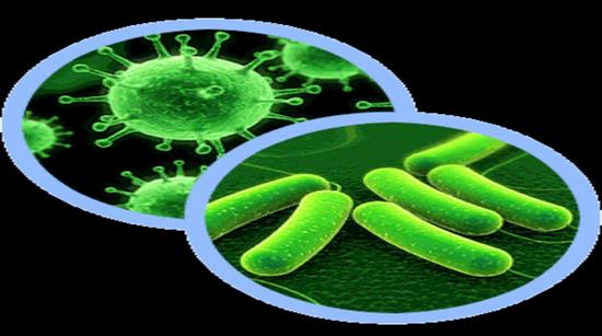 بەڵگەی_دیزاین  بەشی چوارەم: بەڵگەی دیزاین لە یەکەى سەرەکی خانە(پڕۆتین)